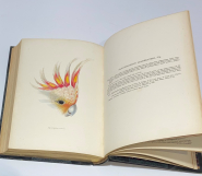 Timed Online Auction | Fine & Rare Books from the Library of John Whittle | Part 1